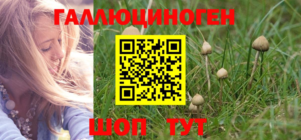 Галлюциногенные грибы Cubensis  Вход с VPN  Барабинск 