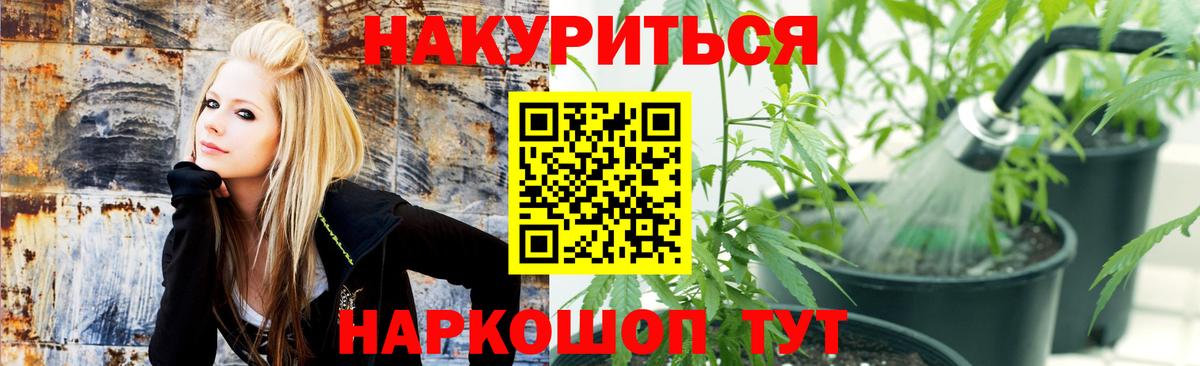 МАРИХУАНА планчик  Вход с VPN  Бошки Шишки THC 21%  Барабинск 